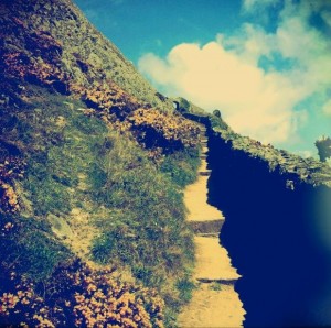 The Steps leading down to Barafundle Bay - part of the Stackpole Estate, National Trust owned -  photograph taken by Rosamund Woodroffe