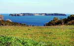 Caldey Island off Skrinkle Haven copy